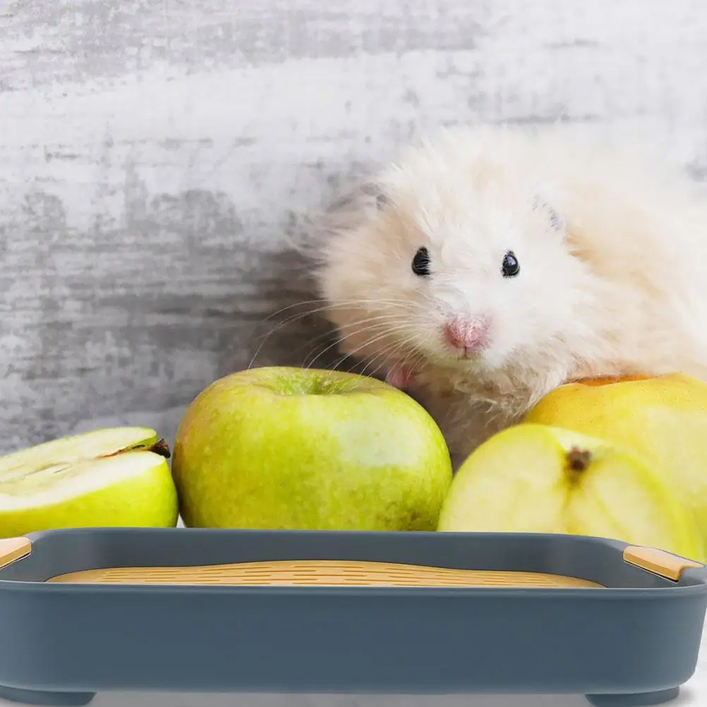 2 Pcs Rabbit Litter Box Pet Toilet Tray Square Plastic Rectangular Bunny Potty Blue Green Non Slip Easy Clean Anti Flip Hamster