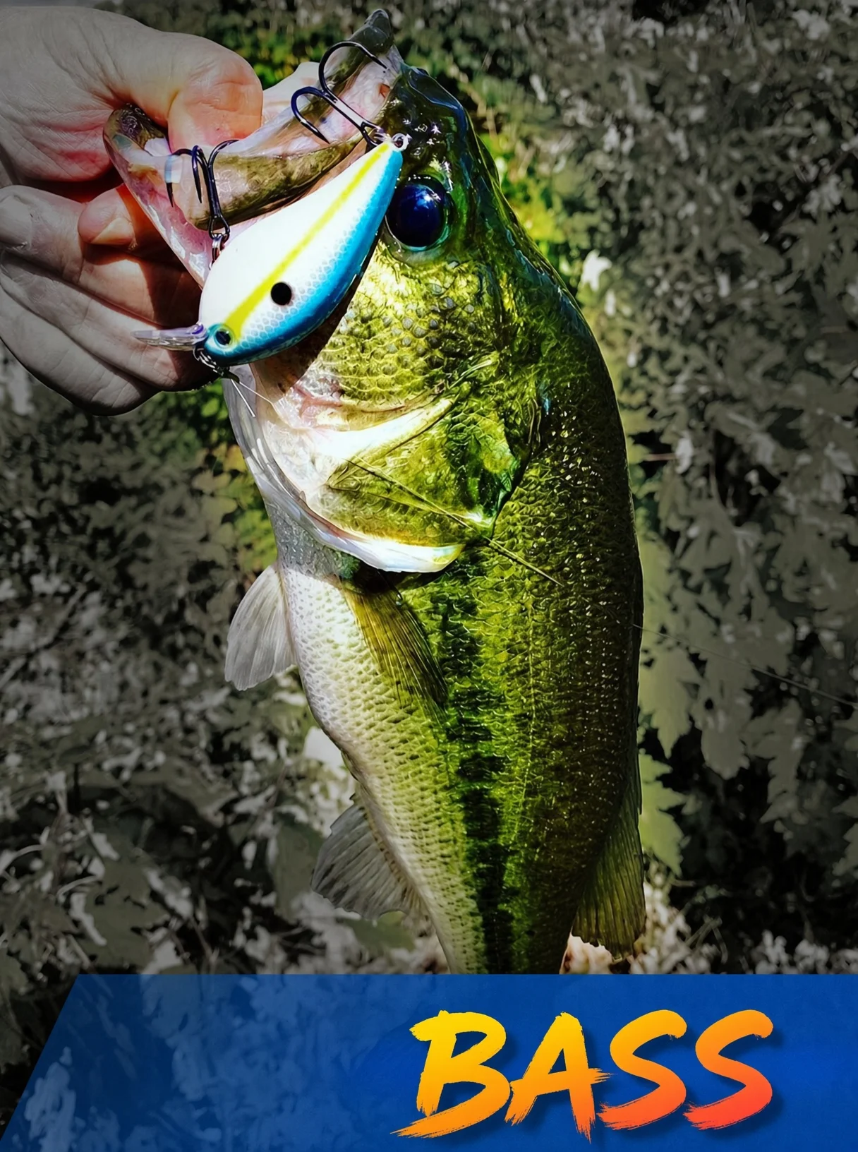 Hunthouse Squarebill Crankbait 65mm 16,5g Schwimm Angeln Locken Kurbel Köder Harte Köder Für Bass Hecht Angeln Süßwasser LW902 – Detail 10