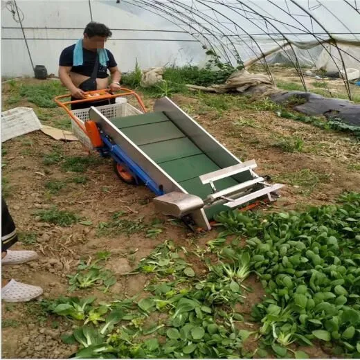 Automatic vegetable harvesting and basketing machine