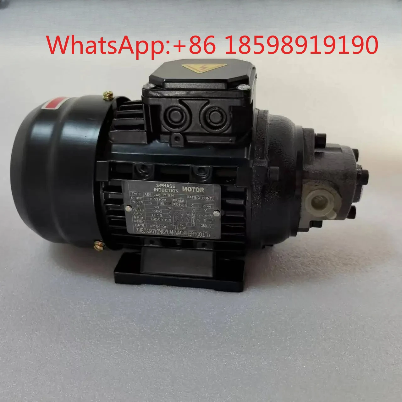 Small ROP-12A gear oil pump motor 120W circulating oil pumping lubrication cooling cycloidal triangle pump 1/8HP