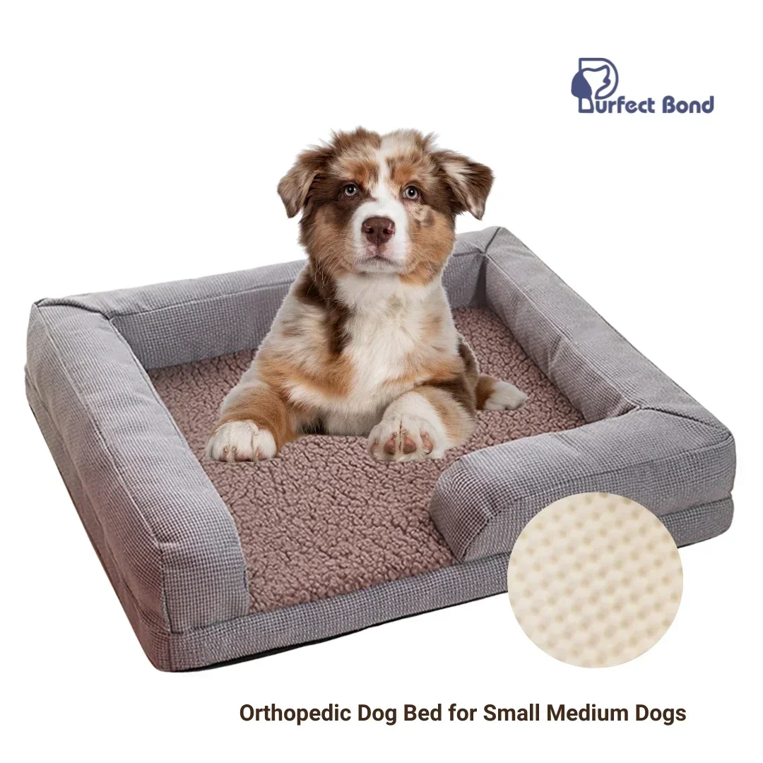 

Winter Warm Memory Foam Dog Bed for Small Medium Dogs Cozy Cat House Cushion Mat Kennel Comfy Pet Bed Sofa Ideal for Puppies