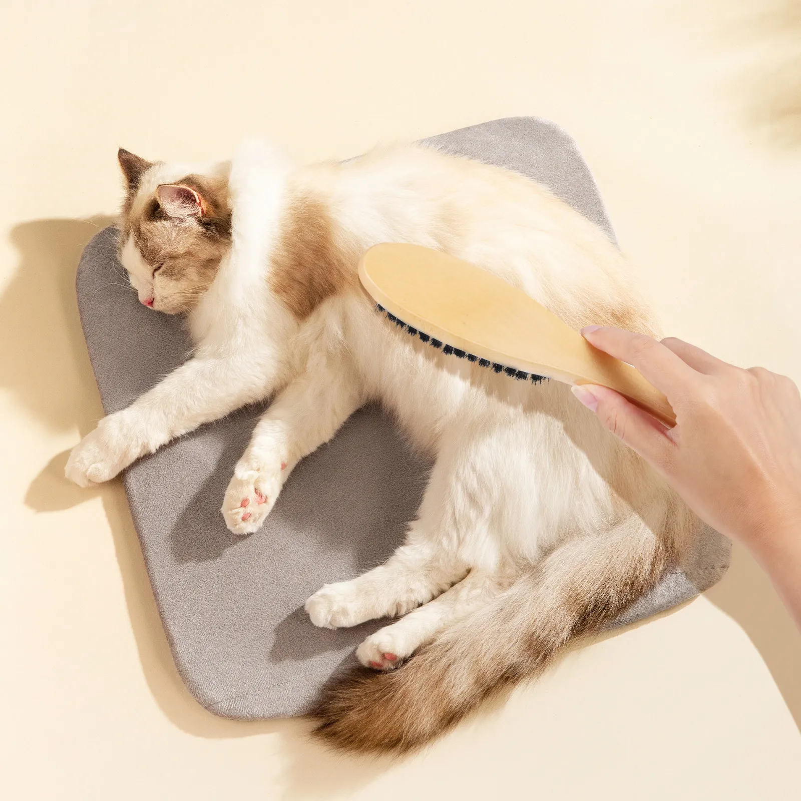 Cepillo de cerdas de cerdo con mango de madera, limpiador multiusos para pulir zapatos, ropa, aseo y eliminación de pelo de gato, con orificio para colgar y mango largo