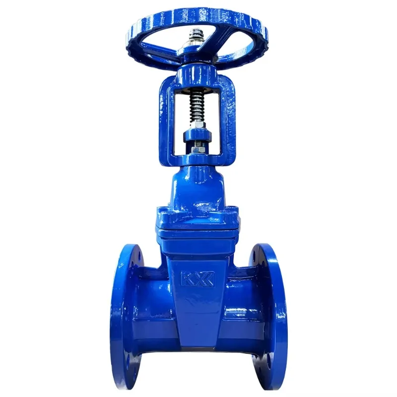 DN50-DN1200 PN16 BS DIN مقعد مرن قياسي F4 بوابة صمام للمياه دليل DI القناة الحديد OSY ونوع NRS QT450 #3