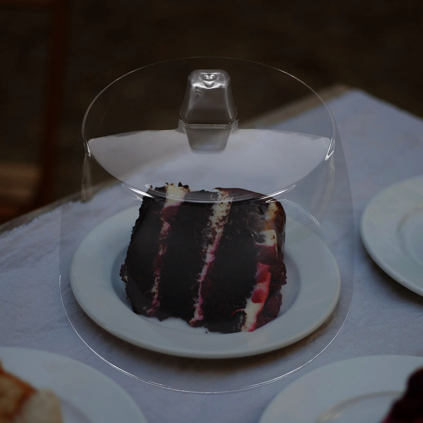 

Transparent Cheese Dome Food Cloche Cover for Cake Dessert Pastry Picnic Outdoor Party Display Serving Plate Outdoor Food Covers