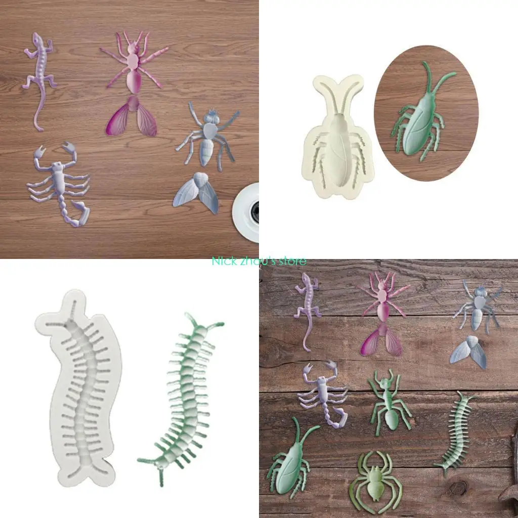 Jewelry & Accessories