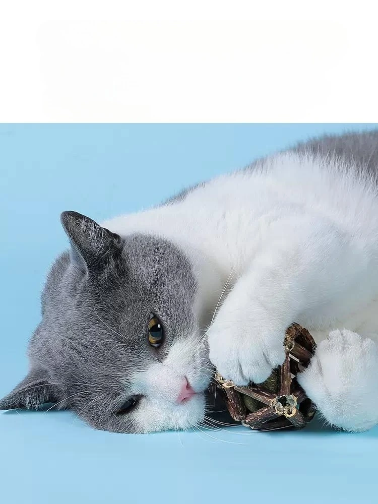 Jouet anciers de dentition en bois polygonum pour chat, balle exquise, anciers teasing, degré de morsure, auto-ennuyé, fournitures pour chat