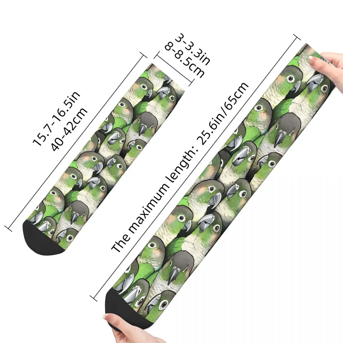 Vintage Green Cheeked Conures calzini da uomo pappagallo Pet Bird Unisex Street Style Pattern stampato Happy Crew Sock Gift