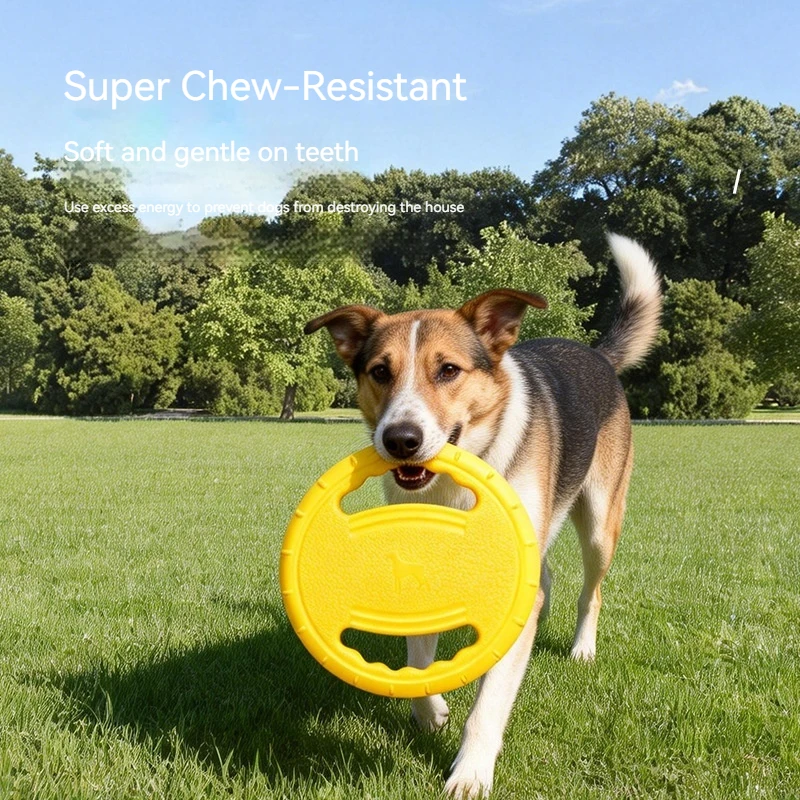 Disco Volador para Perros de EVA con Asa, Resistente a Mordidas, Duradero, Juguete Interactivo para Perros, Suministros para Entrenamiento al Aire Libre, Juguetes Frisbee para Mascotas al por Mayor
