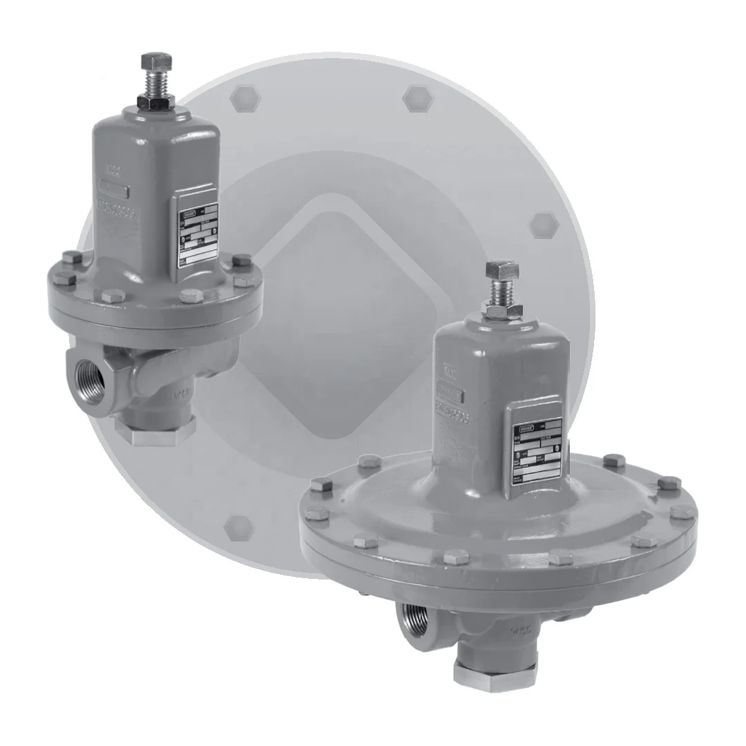 2026FISHER High-Temperature Stainless Steel Water Regulator New Arrival Back Pressure Reducing System for  Media