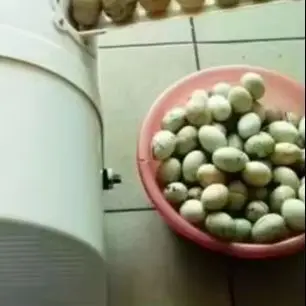 

Egg Cleaning Machine chicken Egg Washer small Egg Washing Machine