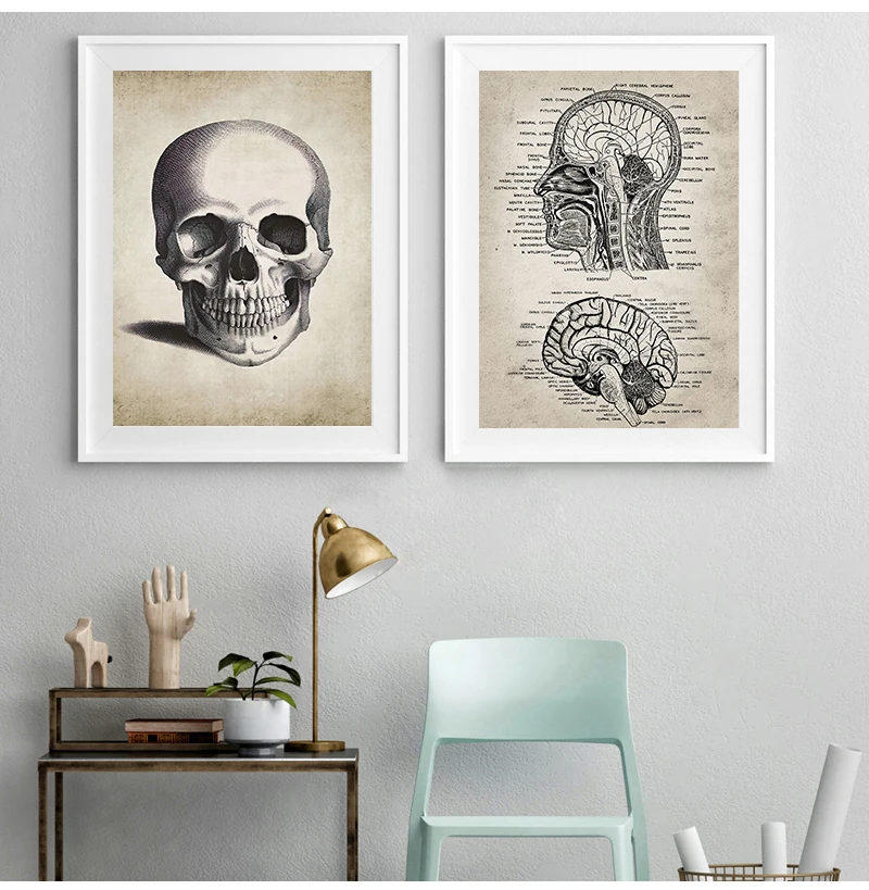 Human Anatomy Wall Art Hospital Vintage Posters and Prints Doctor Office Decoration Skeleton Anatomical Skull Canvas Painting