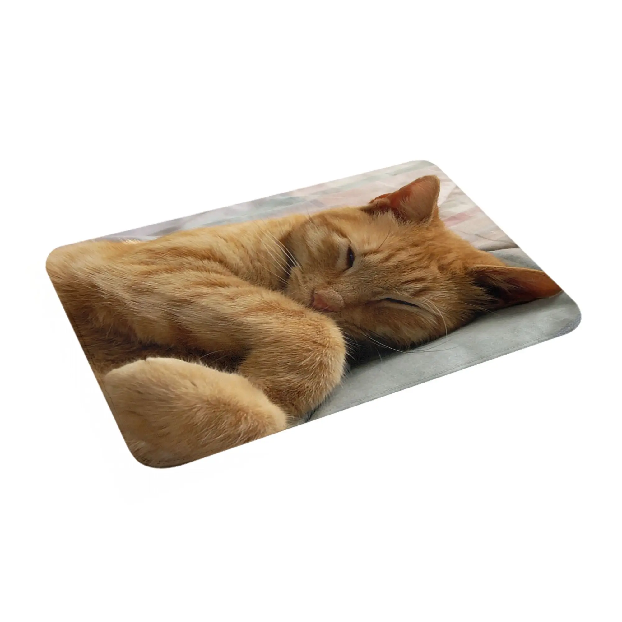 

Ginger Cat Sleeping Non-slip Doormat Floor Mat Sand Scraping Carpet Rug for Kitchen Entrance Home Bathroom Footpad Mats
