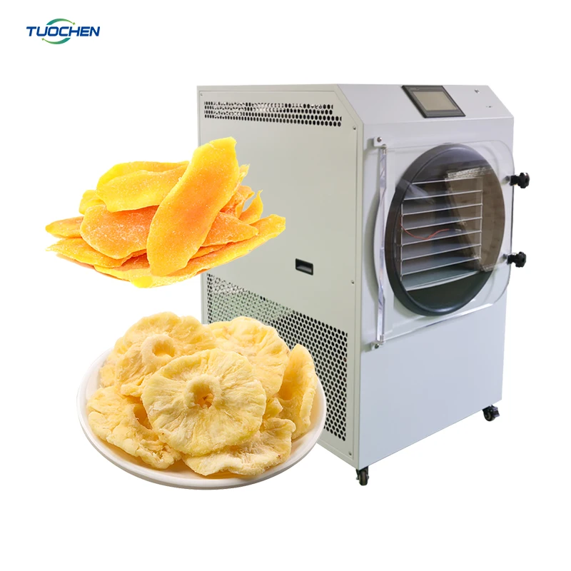 Home Freeze Dryer Machine AutomaticControl High Efficiency Continuous Drying 20kg Capacity Fruit Processing Plant