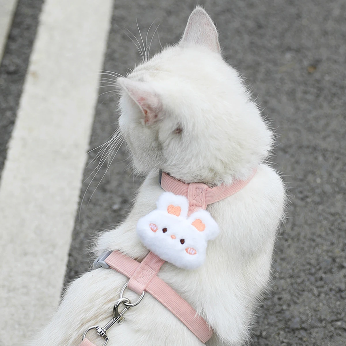 Kattenharnas en riemsets Verstelbaar hondenharnas voor kleine hondenriem Ademend huisdierharnas Out Walking Dog Strap