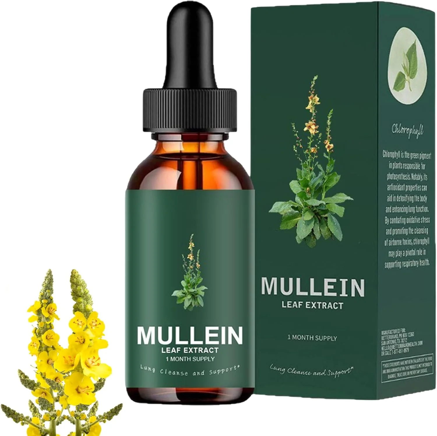 

Natural Water Based Mullein Leaf Extract Liquid Drops for Smokers Health Conscious Individuals to Breathe Easily Clear Airways