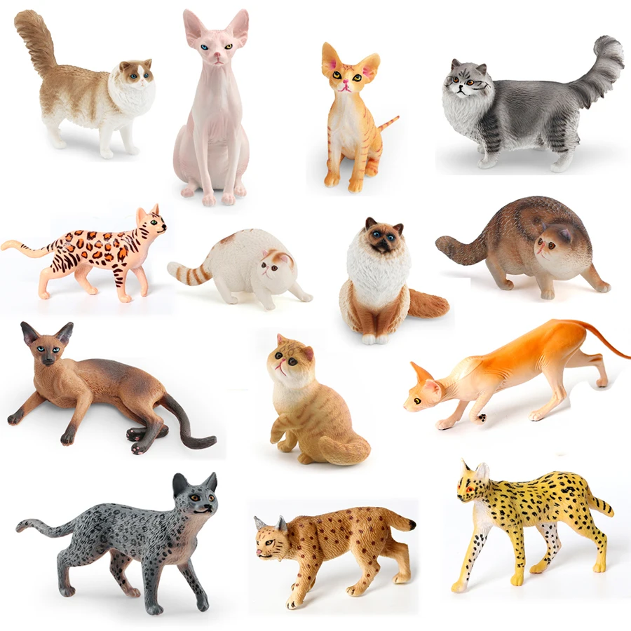 

Realistic Cute Kitty Persian Ragdoll Siamese Cat Lynx Sphynx Devon Rex Model Figures Home Decoration Collection Kids Toy Gift