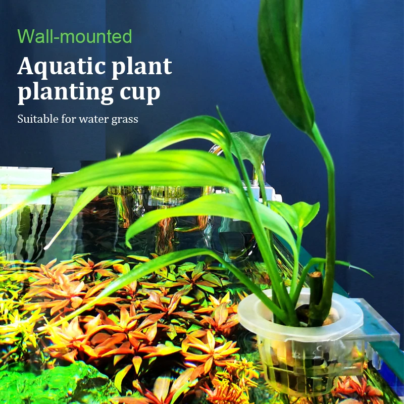 كوب تثبيت نباتي مائي مثبت على  - مراجعة Aquarium Planted Wall وسعره