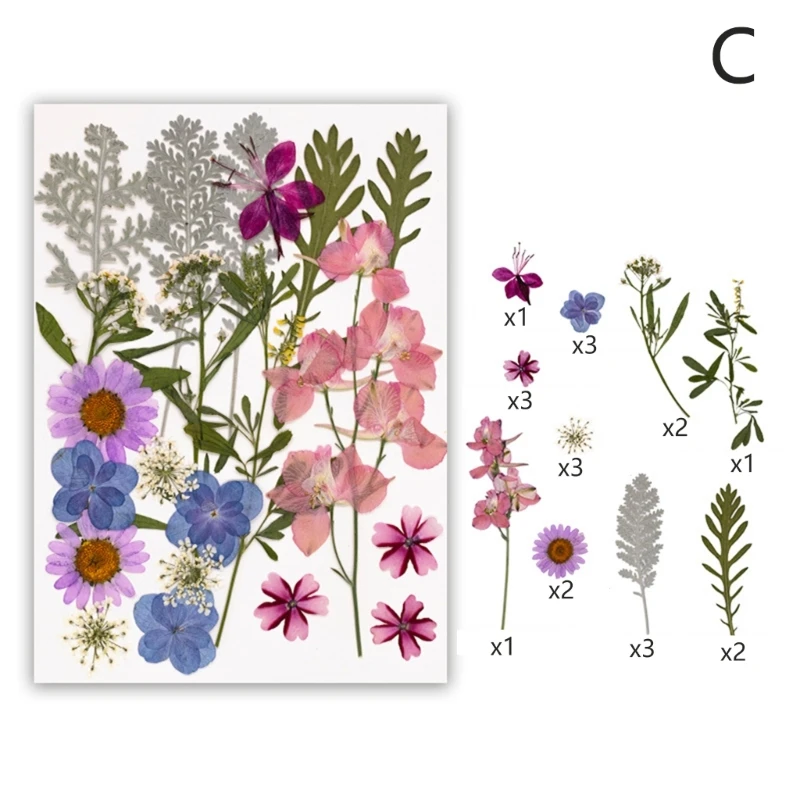 

Natural Pressed Flower Collection for Resin Art Projects and Handmade Craft Decorations Dried Leaves and Herbs 15UB