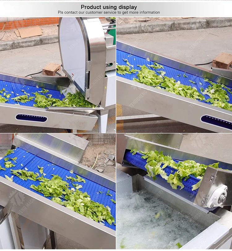 آلة مصعد الفاكهة للبيع بالجملة والتفاح الطازج والموز والبرتقال والعنب التعامل مع بناء متين من الفولاذ المقاوم للصدأ #6