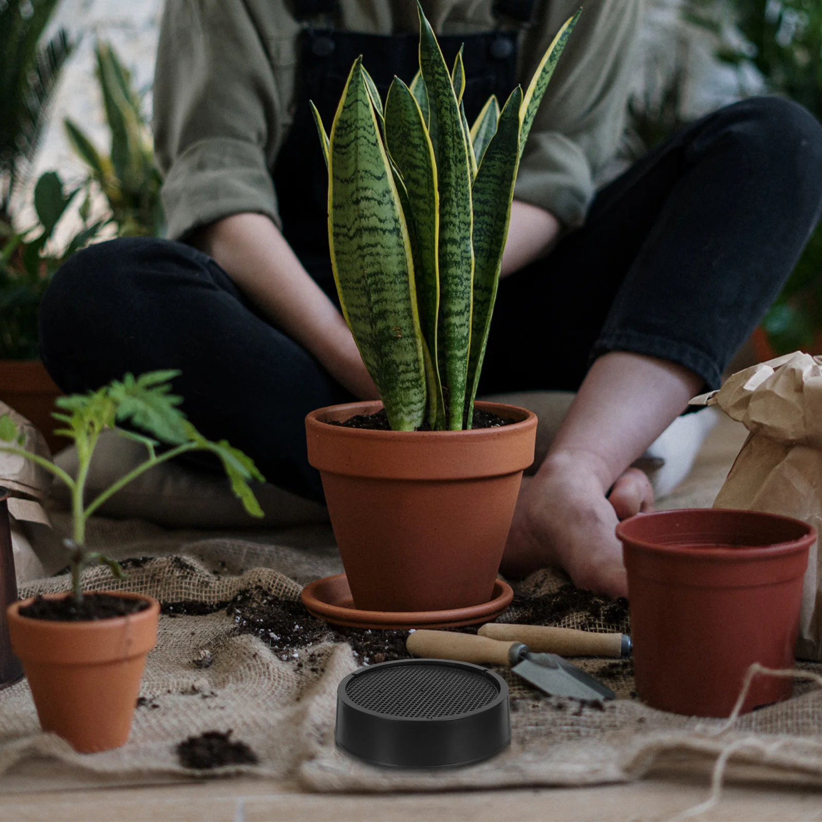 

2Sets Garden Soil Sieve Set Premium Plastic Soil Sifter Tool for Balcony Mini Garden Fine Mesh Sifting Pan Gardening Tool Stone