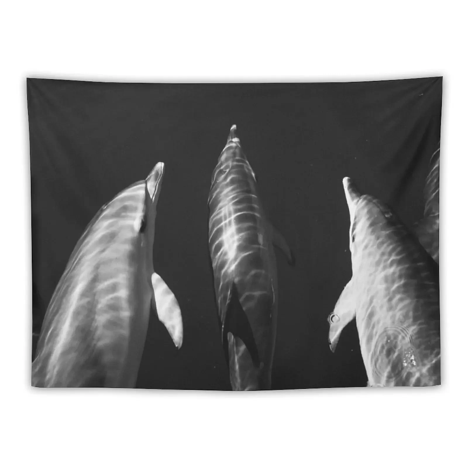 

Black and white dolphins Tapestry Decoration For Rooms Decoration Room Room Decore Aesthetic Room Decorations Tapestry