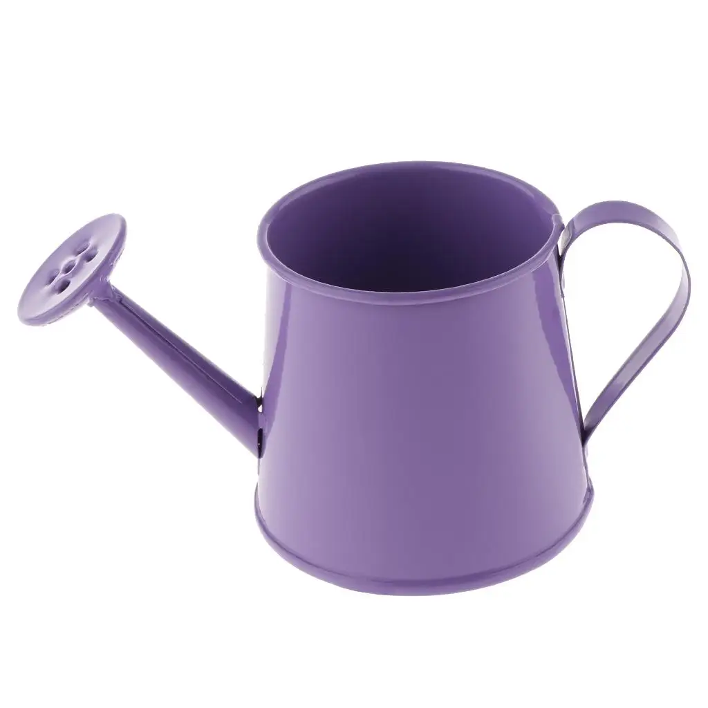 Gardening Watering Can, Tinplate Retro Watering Can Kettle Garden for Wedding home and garden Decoration