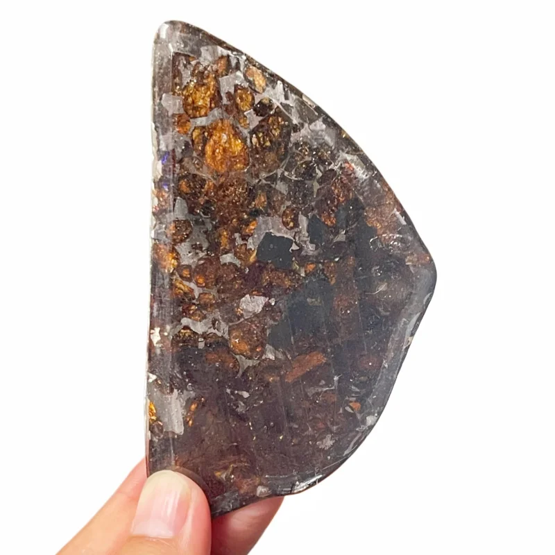 Rare Sericho Pallasite Meteorite Slice Original Polished Specimen From Kenya Golden Olivine Crystal Space Rock Collection CA101
