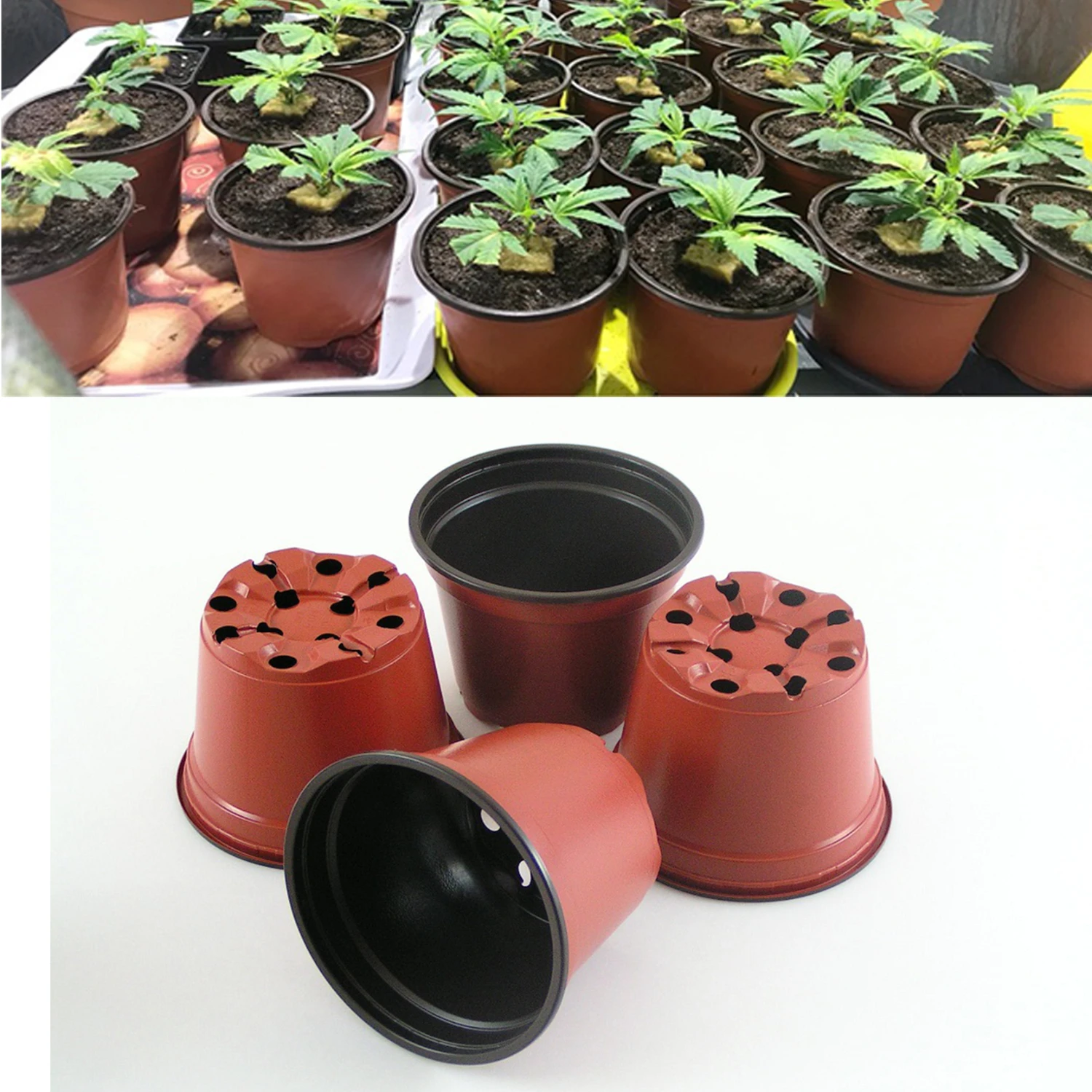 

Seedling Pots Plastic Plant Pots Seedling Cups Nursery Pots Plant Container Fit for Seeds Germination, Seedlings Growing, Succul