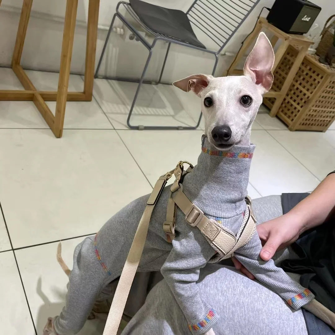 Whippet Comfortable Dog Cotton Coat Soft Turtle Collar Pullover Jumpsuit Italian Greyhound Bedlington Winter Dog Clothes