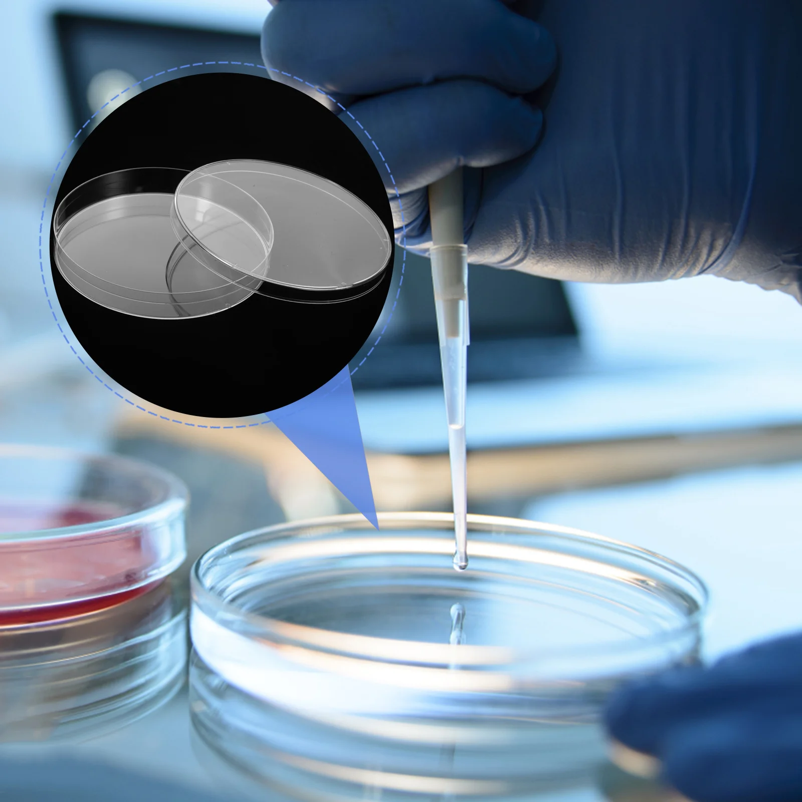 

10Pcs Clear Round Culture Dishes with Lid Disposable Lab Plates for Science Experiments Agar Mushroom Growing Chemistry Tools