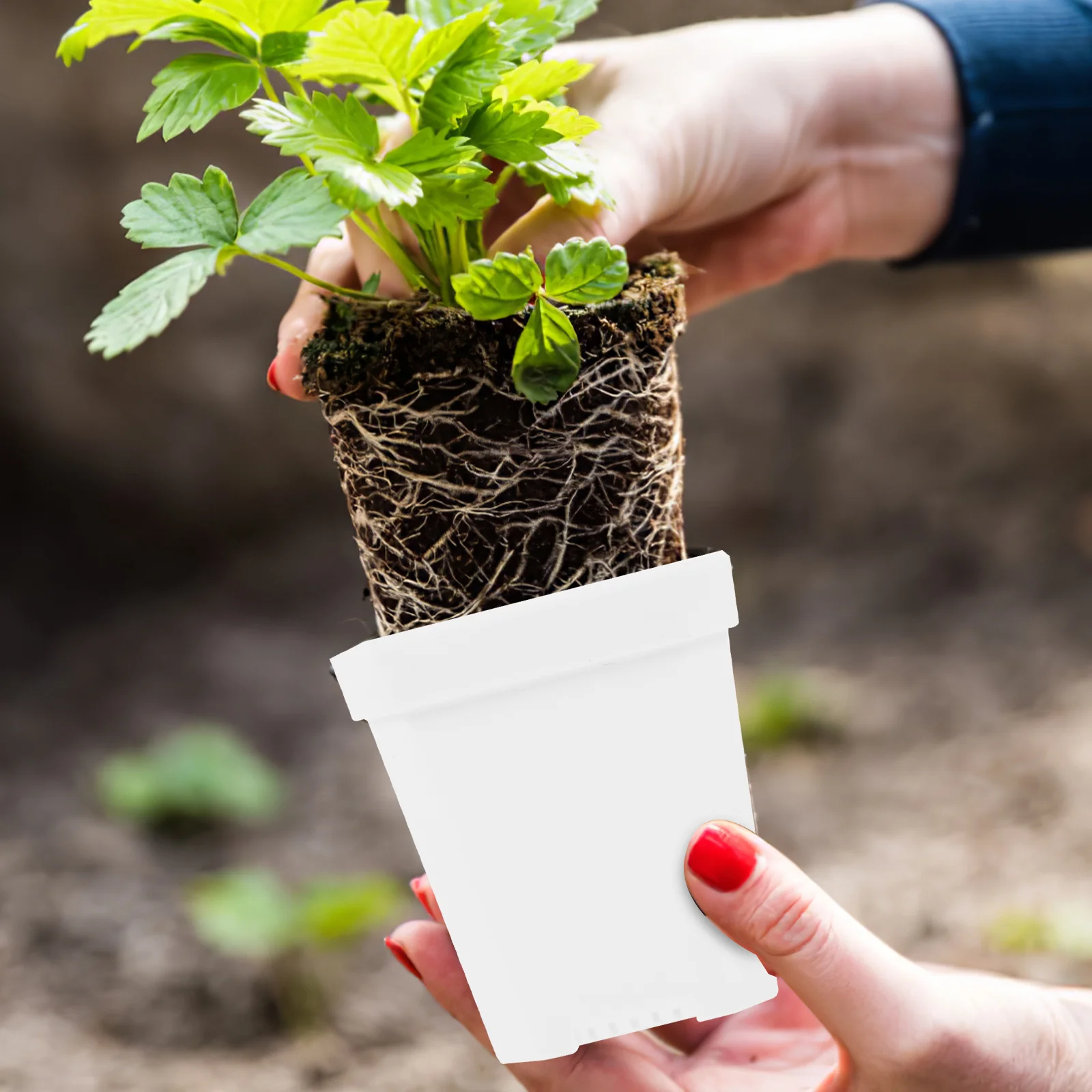 

20Pcs Sturdy Plastic Flower Pots with Multiple Drainage Holes Perfect for Indoor Outdoor Gardening Pots with Drainage Holes