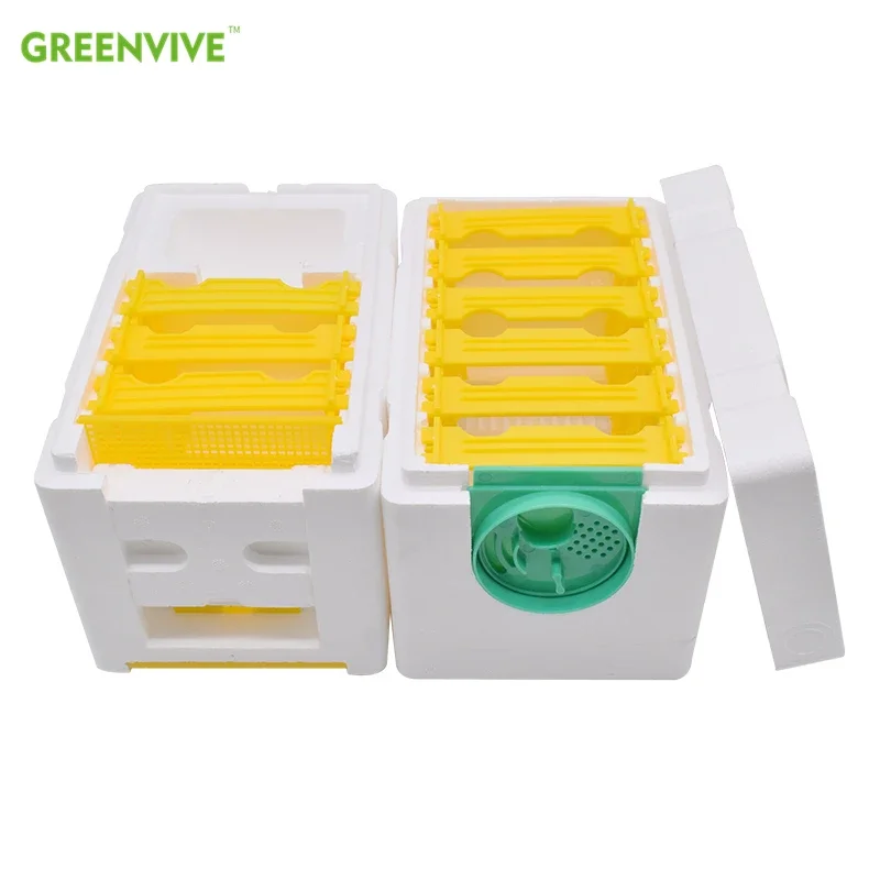 Bee Hive Frame Holder Equipment Kit Bee Hive Foam Beekeeping King Box Beehive Pollination Boxes Harvest Bee Tool Nest Case