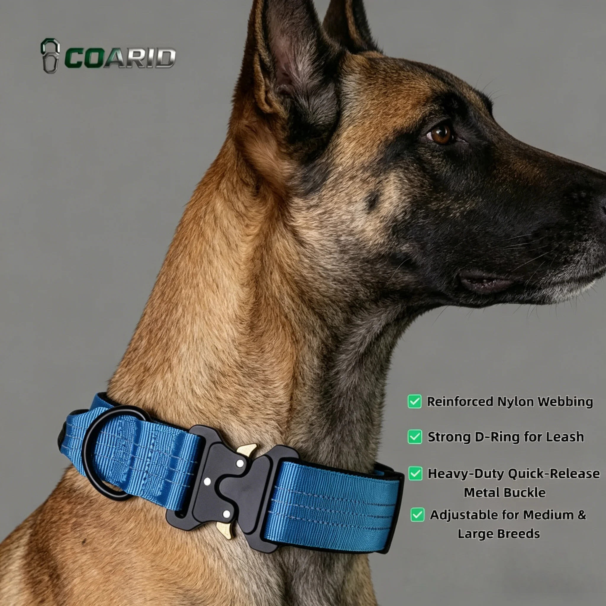 

Dog Collar Tactical Quick Release Buckle Heavy Duty Nylon Pet Collar with Handle Reflective Molle Collar for Medium Large Dogs T