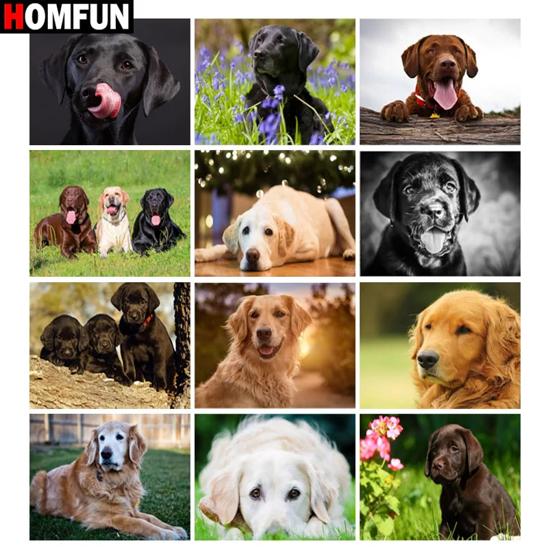 

HOMFUN алмазная живопись полный квадратный/круглый бриллиант "животный пейзаж собаки" узор вышивка крестиком 5D горный хрусталь живопись