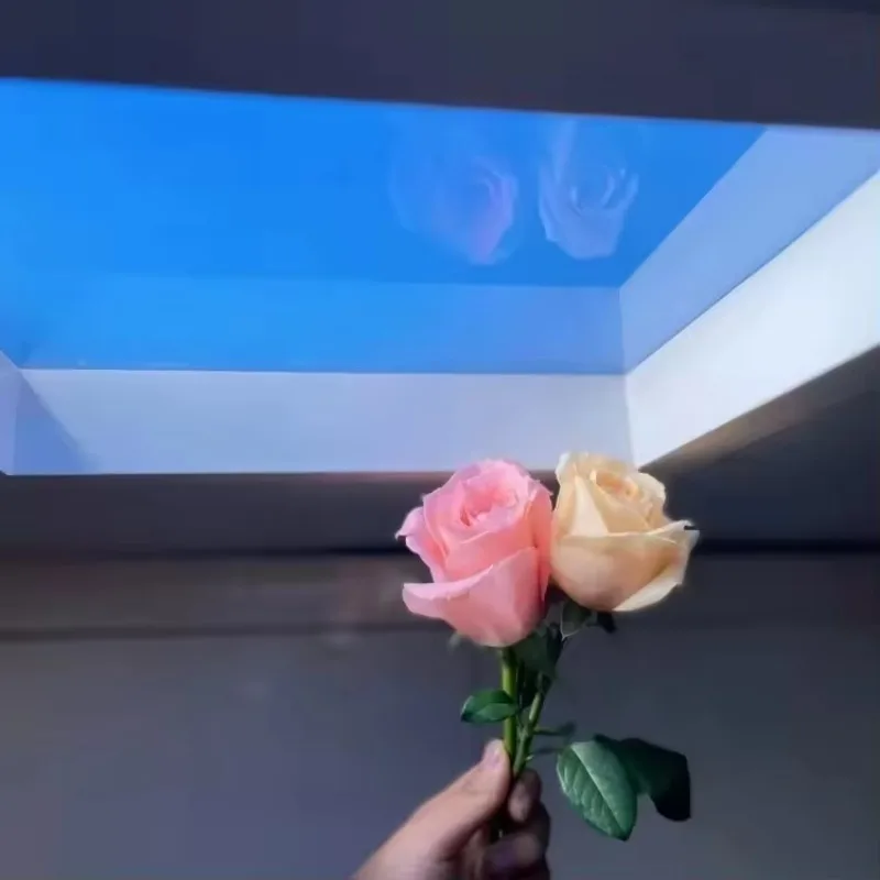 Blue Sky LED Skylight Ceiling Virtual Natural Sunlight LED Simulator Artificial Skylight