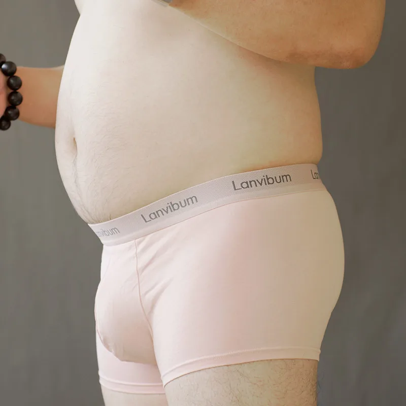 Men\'s breathable U-Bulge briefs sexy lingerie Chubby large sizeshorts Underwear See-through Fashion new Underpants
