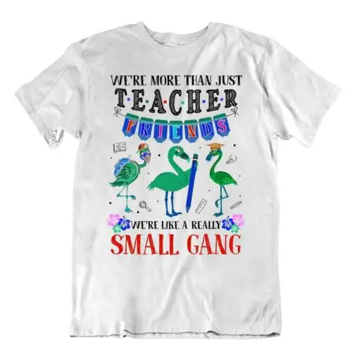 

Teacher Friends Tshirt Small Gang Shirts Awesome Leader Idea Gift Tee