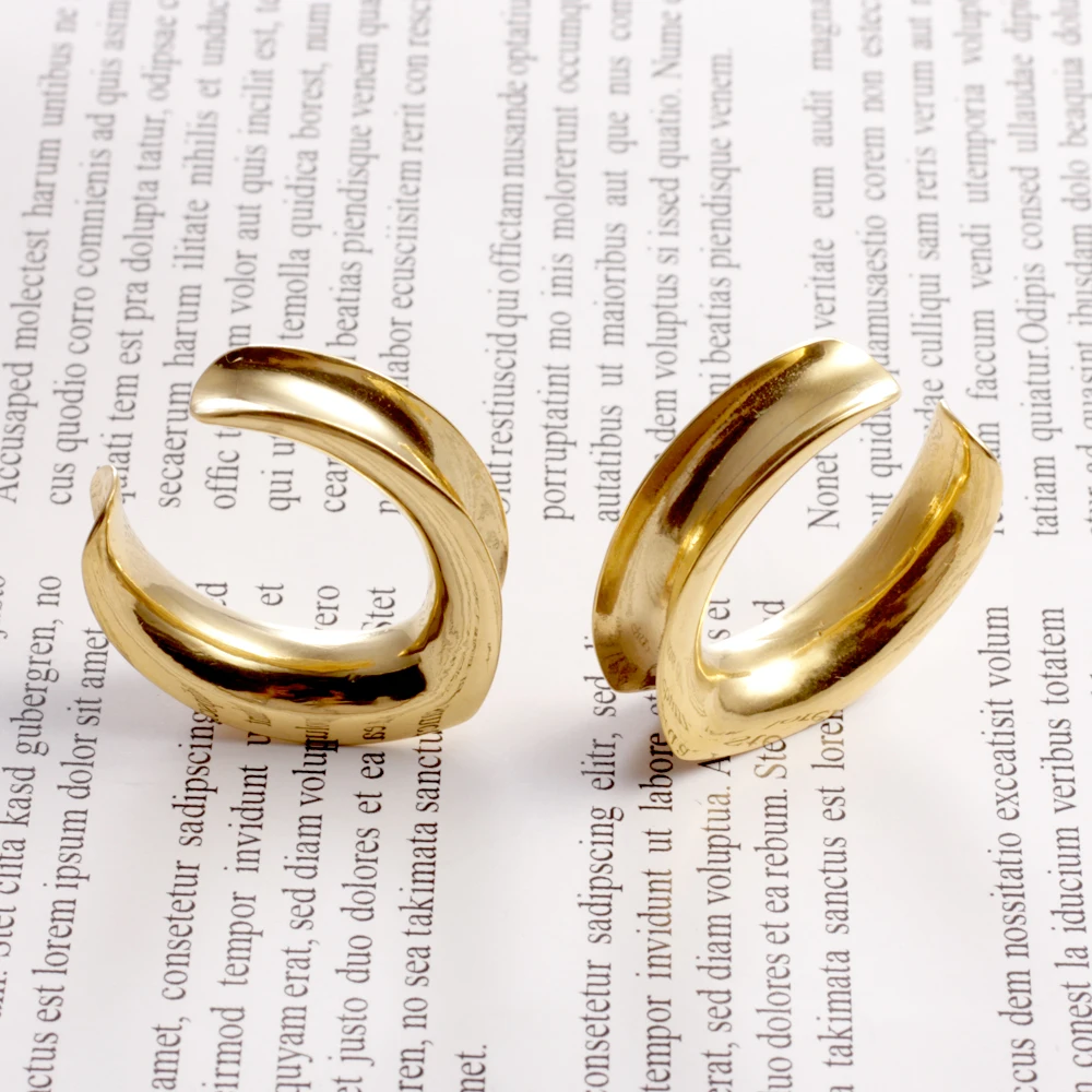 Casvort 2PCS 316 Stainless Steel Saddle Tunnels Plugs Piercing Stretchers Fashion Body Piercing Jewelry Expander Gift For Women