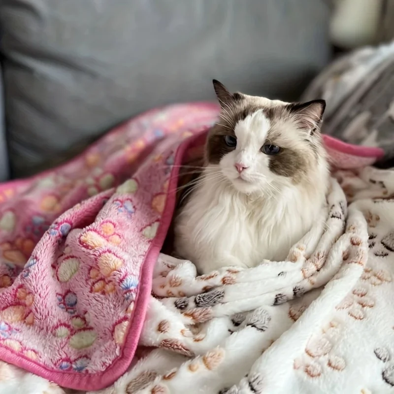 Soft Flannel Fleece Cat Dog Blanket Bed Mats Paw Foot Print Warm Pet Blanket Sleeping Beds Cover Mat For Dogs Cats Pets supplies - Image 3