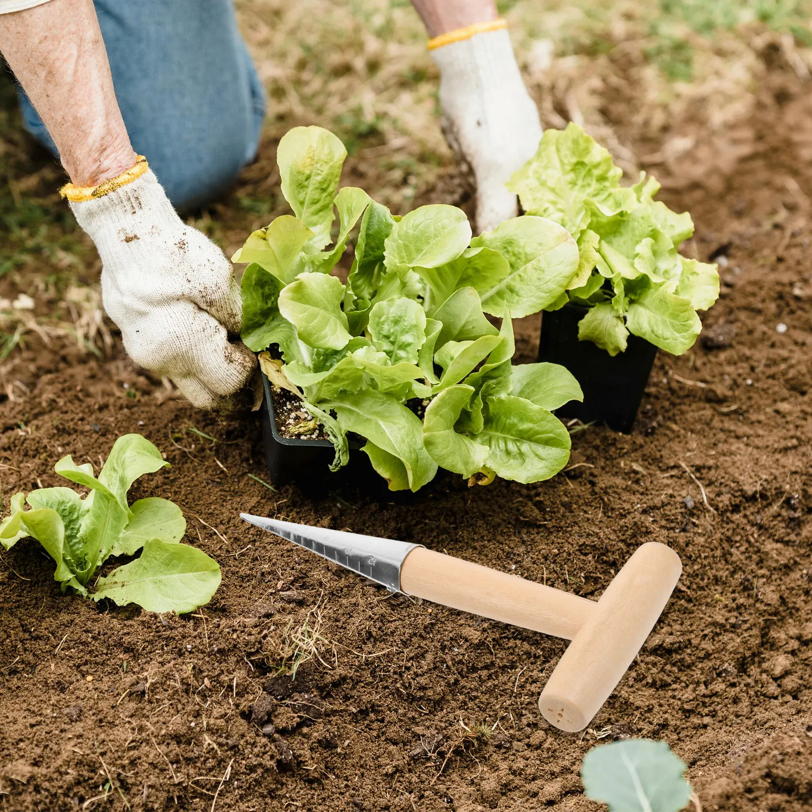 

Т-образный культиватор из нержавеющей стали для посадки суккулентов и овощей, инструмент для прокалывания отверстий в почве, портативный садовый инструмент