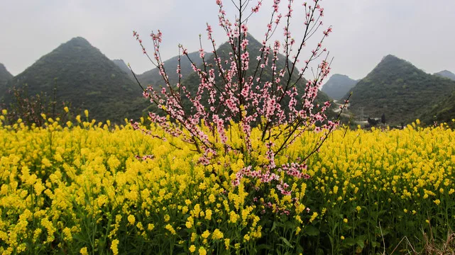 

1.0 Inch Wheel Tires D399 / Brass Wheel Rims D398 for 1/18 TRX4M SCX24 FMS Ascent-18 RC Crawler