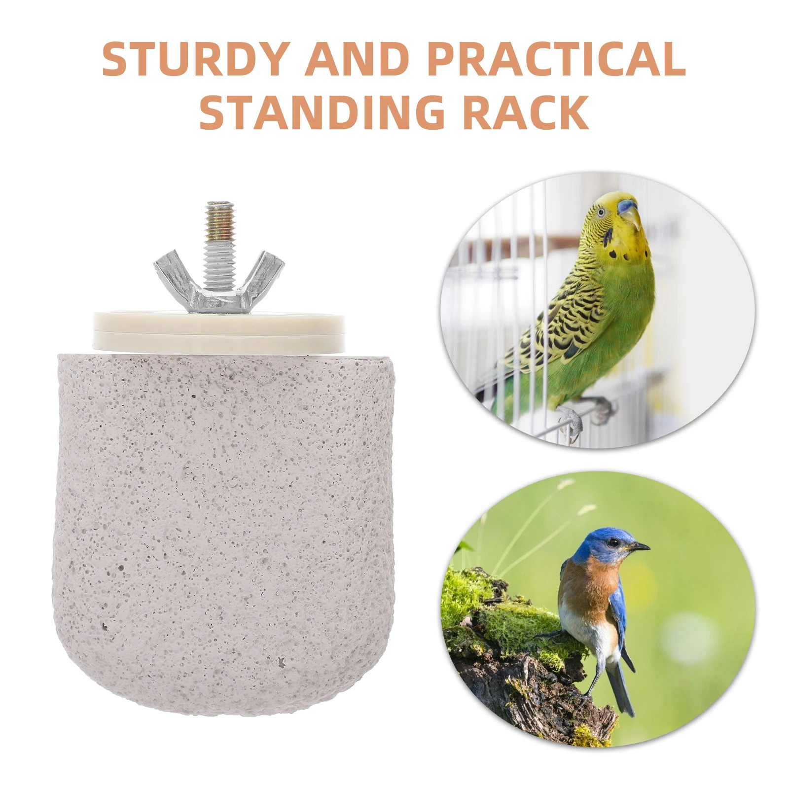 Bird Perch Platform for Cage Strong Standing Rod for Parrots Parakeets Cockatiels Natural Wood Style Exercise and Rest Accessory