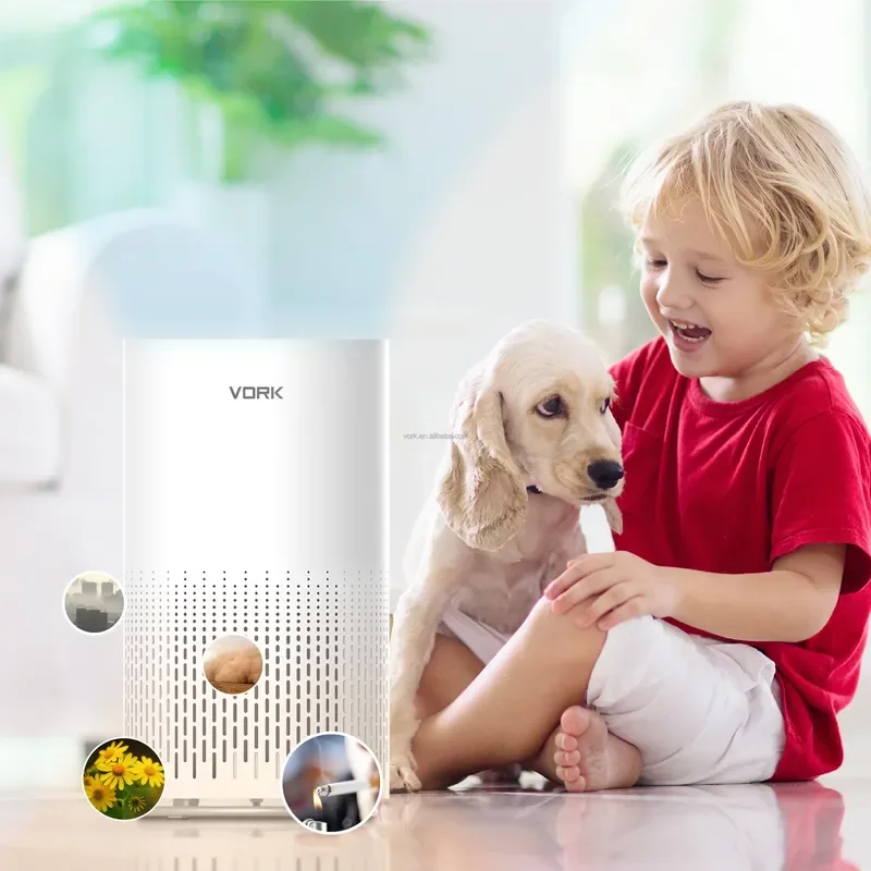 For Wholesale Factory Direct Portable Air Purifier High Quality Electric Manual Air Purifier With HEPA Filter EU Plug