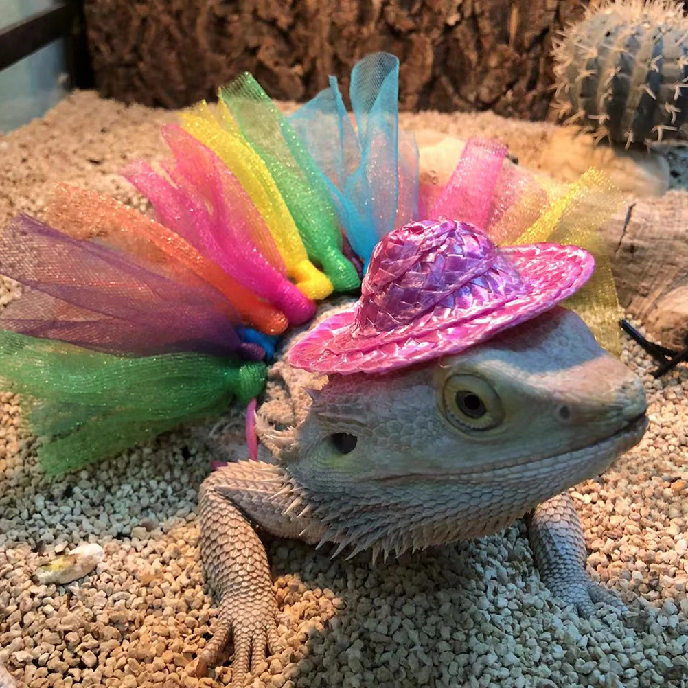 

1 Set Chameleon Dress Up Kit High Grade Material Comfortable Small Pet Outfit Perfect for Occasions Halloween