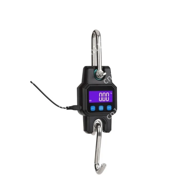 Portable small industrial crane scale, 300kg/50g new small crane scale