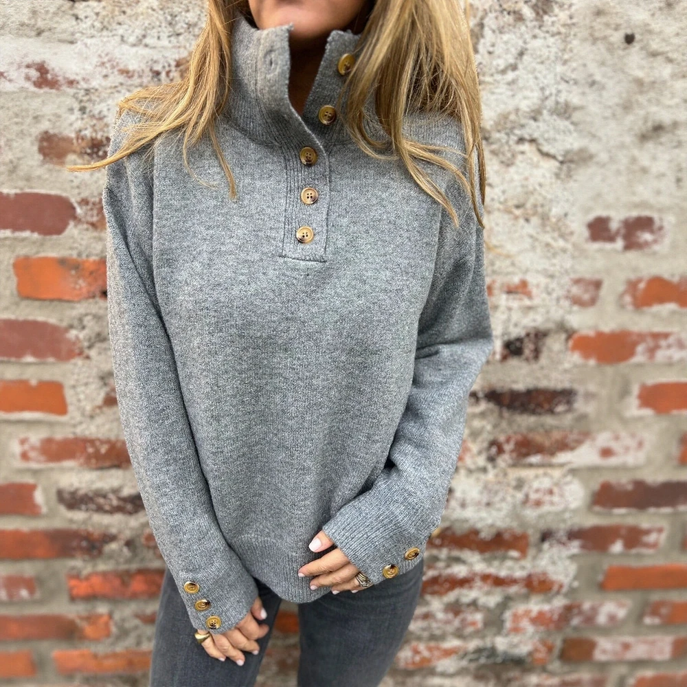 

Women's Long Sleeve High Neck Sweater Autumn Winter Fashion Casual Chic Plain Top for Daily Wear Luxurious Style