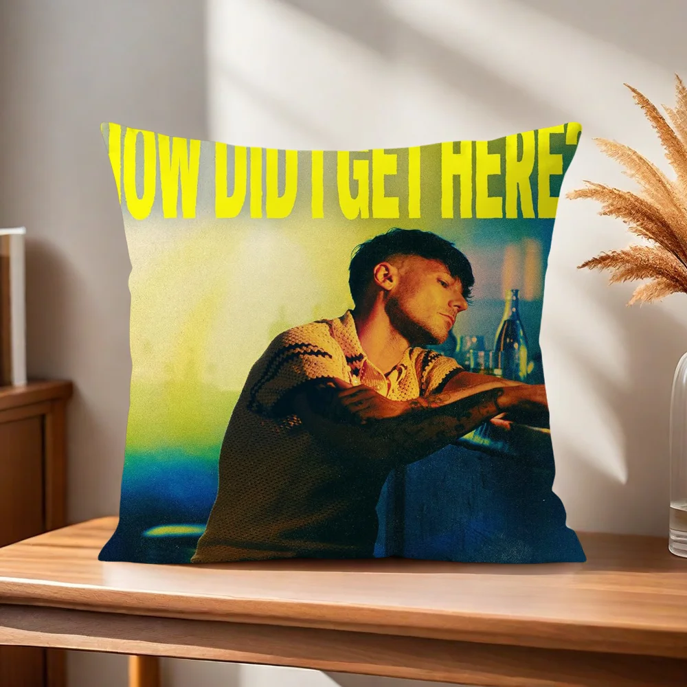 L-Louis How Did I Get Here T-Tomlinson Kissenbezug Kissenhülle für Zuhause, Sofa, Wohnzimmer, Büro, Café, Auto – Detail 7