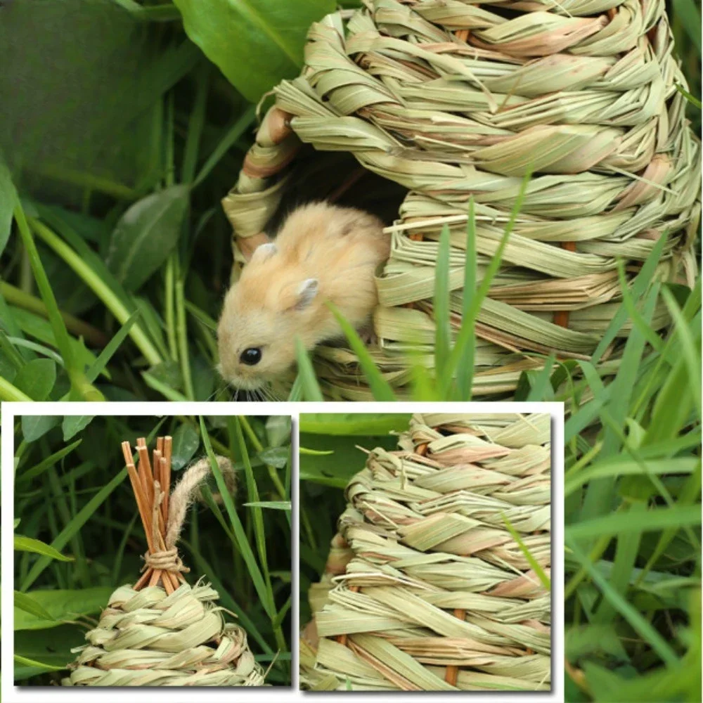 بيت الطيور الببغاء كروية بيت الحيوانات الأليفة مع عش الطيور الحبل للعصفور النمر الفاوانيا اللؤلؤ كوكاتيل اليدوية النسيج عش الطيور