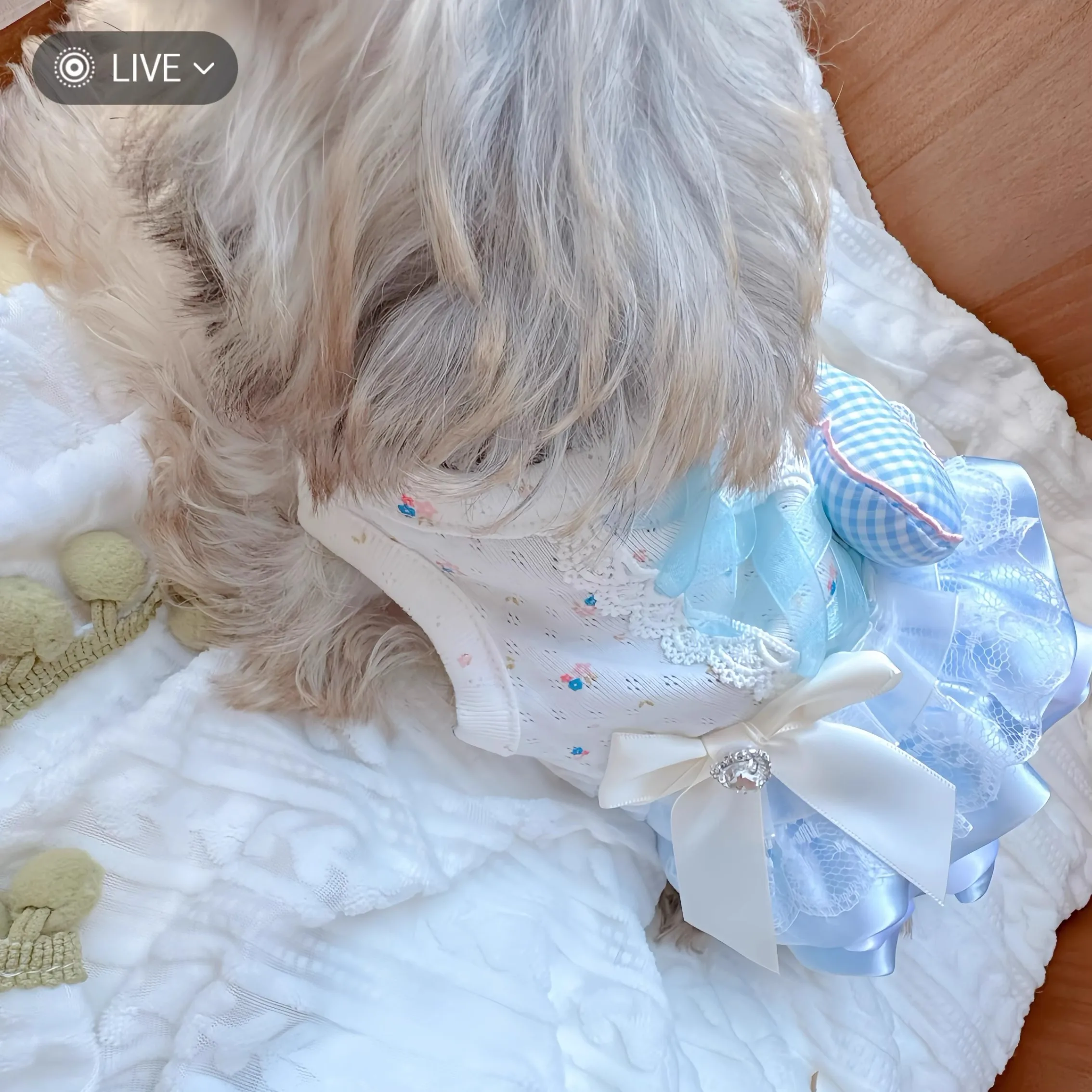 

Blue Heart Shaped Pet Dress Cute Princess Style Dog And Cat Clothes