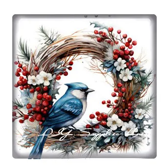 سحر الزجاج كابوشون مربع ، سحر كابوشون ، صنع المجوهرات ديي ، عيد الميلاد س-ماس زوجين الطيور ، ظهر مسطح ، X-ماس ، 10 الكثير